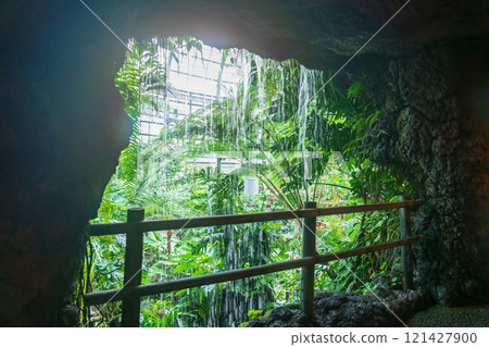 植物園的象徵性溫室－論會公園（愛知縣豐橋市） 121427900