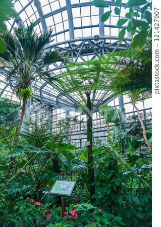 植物園的象徵性溫室-論會公園(愛知縣豐橋市) 植物園的象徵性溫室-論會公園(愛知縣豐橋市) 121427907