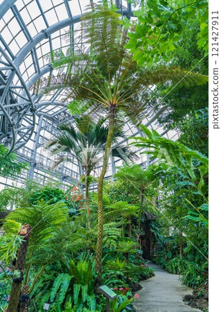 植物園的象徵性溫室－論會公園（愛知縣豐橋市） 121427911