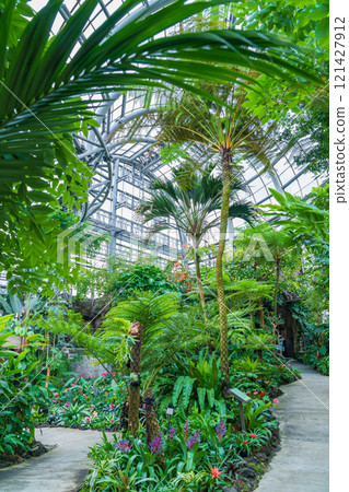 Nonhoi Park, the symbolic greenhouse of the botanical garden (Toyohashi City, Aichi Prefecture) 121427912