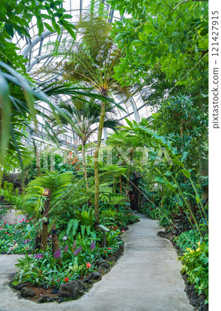 Nonhoi Park, the symbolic greenhouse of the botanical garden (Toyohashi City, Aichi Prefecture) Nonhoi Park, the symbolic greenhouse of the botanical garden (Toyohashi City, Aichi Prefecture) 121427915