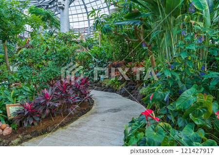 Nonhoi Park, the symbolic greenhouse of the botanical garden (Toyohashi City, Aichi Prefecture) Nonhoi Park, the symbolic greenhouse of the botanical garden (Toyohashi City, Aichi Prefecture) 121427917
