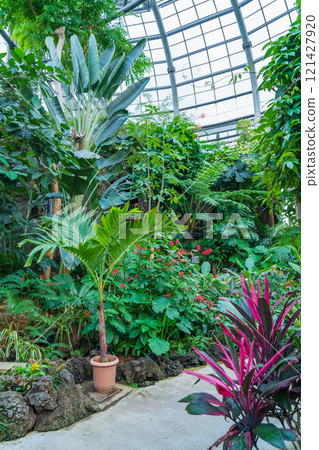 植物園的象徵性溫室－論會公園（愛知縣豐橋市） 121427920