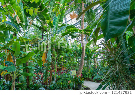 植物園的象徵性溫室－論會公園（愛知縣豐橋市） 121427921