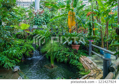 Nonhoi Park, the symbolic greenhouse of the botanical garden (Toyohashi City, Aichi Prefecture) 121427924