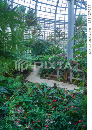 Nonhoi Park, the symbolic greenhouse of the botanical garden (Toyohashi City, Aichi Prefecture) Nonhoi Park, the symbolic greenhouse of the botanical garden (Toyohashi City, Aichi Prefecture) 121427925