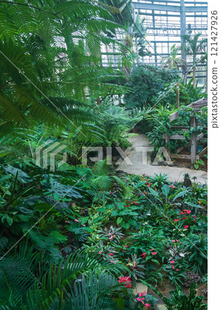 Nonhoi Park, the symbolic greenhouse of the botanical garden (Toyohashi City, Aichi Prefecture) 121427926
