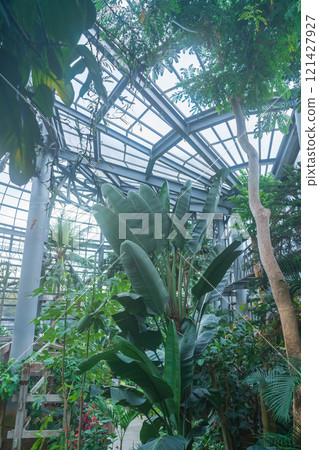 Nonhoi Park, the symbolic greenhouse of the botanical garden (Toyohashi City, Aichi Prefecture) 121427927