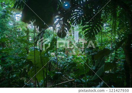 Nonhoi Park, the symbolic greenhouse of the botanical garden (Toyohashi City, Aichi Prefecture) 121427930