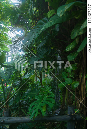 Nonhoi Park, the symbolic greenhouse of the botanical garden (Toyohashi City, Aichi Prefecture) 121427937