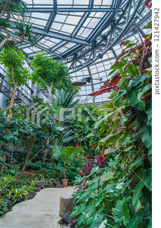 Nonhoi Park, the symbolic greenhouse of the botanical garden (Toyohashi City, Aichi Prefecture) Nonhoi Park, the symbolic greenhouse of the botanical garden (Toyohashi City, Aichi Prefecture) 121427942