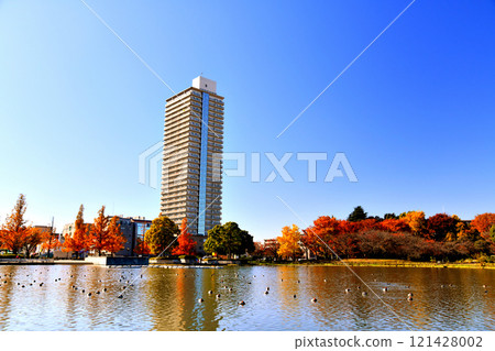 Tokyo Metropolitan Ukima Park (Itabashi-ku/Kita-ku, Tokyo) [2024.11] 121428002