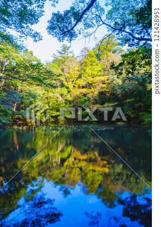 [Ise Grand Shrine Naiku] A pond rich in nature 121428951