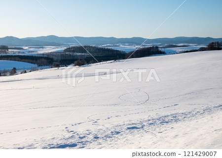 冬天的藍天和雪地上有野生動物的腳印 冬天的藍天和雪地上有野生動物的腳印 121429007