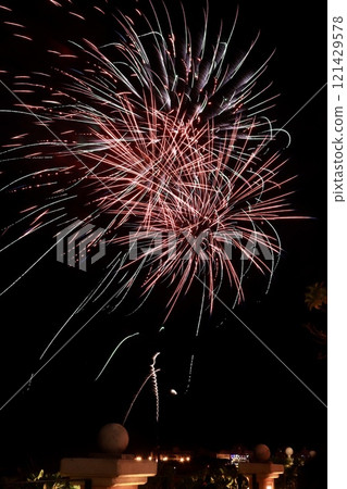 Fireworks dancing in the night sky Fireworks dancing in the night sky 121429578