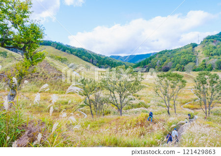 【富峰高原】蒲葦美麗的風景預示著秋天的到來 121429863