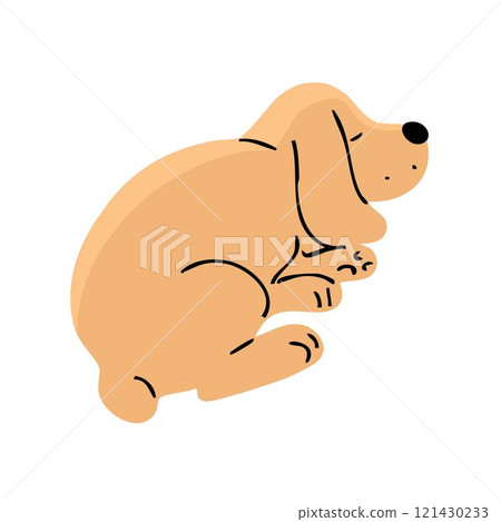 Cute spaniel dog on white background 121430233