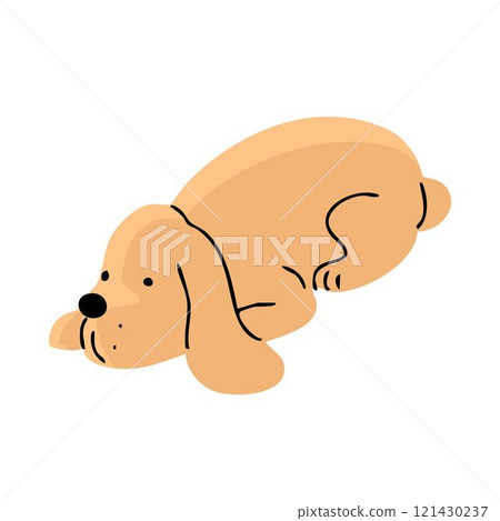 Cute spaniel dog on white background 121430237