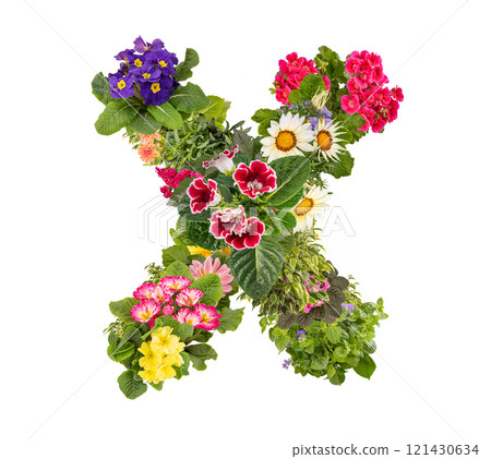 Letter X made of various colorful flowers 121430634
