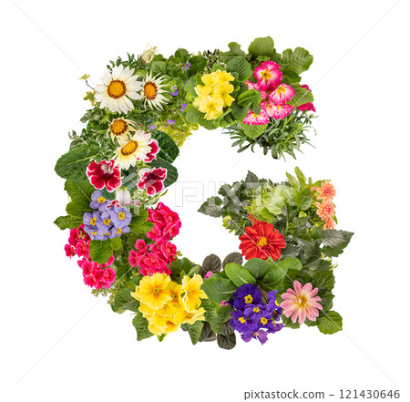 Letter G made of various colorful flowers 121430646