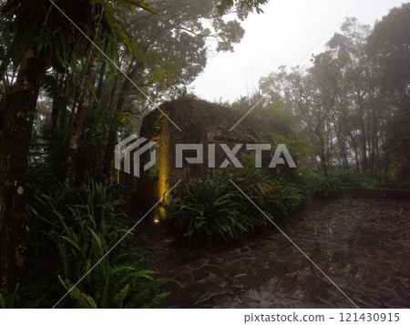 Mystical house without windows in fog. Twilight, tropical forest, green grass and ferns 121430915