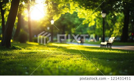 綠色公園，陽光透過的風景 121431451