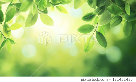 Green leaves spread out against the light Green leaves spread out against the light 121431453