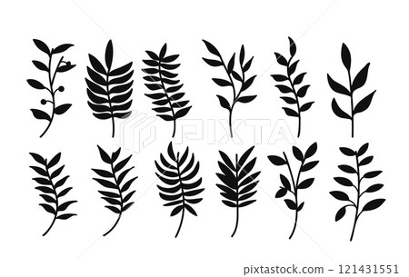 Silhouette botanical branches and leaves collection. Vector illustration.	 121431551