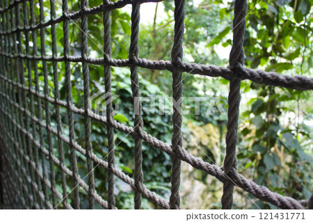 Rustic details and nature scenes in green surroundings. Rustic details and nature scenes in green surroundings. 121431771