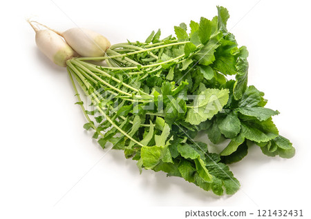Gensuke radish from Kaga vegetables 121432431