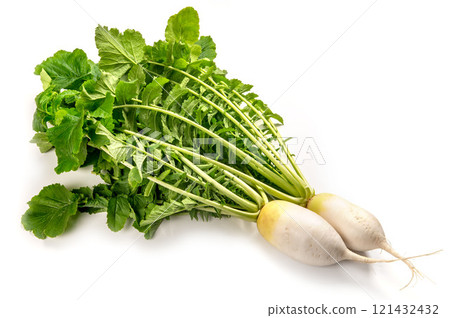 Gensuke radish from Kaga vegetables 121432432
