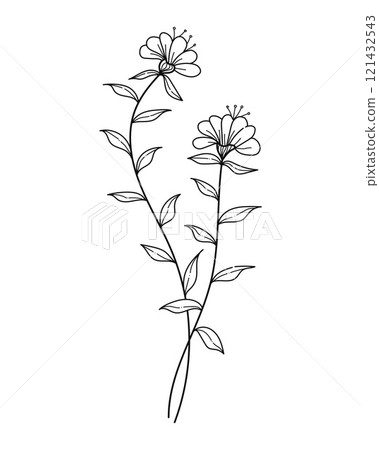 Hand drawn line art blooming flowers. Design for invitations, tattoos and backgrounds, botanical vector illustrations Hand drawn line art blooming flowers. Design for invitations, tattoos and backgrounds, botanical vector illustrations 121432543