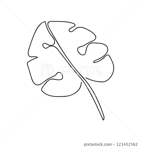 monstera, vector, leaf 121432562