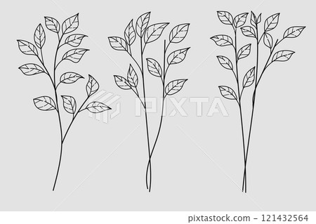 Set Hand Drawn Leaves and Branches on White Isolated Background .Vector Illustration	 121432564