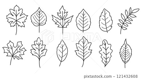 Hand drawn leaves outline collection.Vector illustration Hand drawn leaves outline collection.Vector illustration 121432608