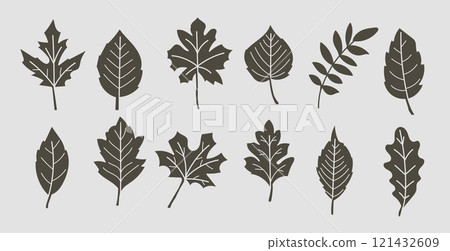 leaf, green, foliage 121432609