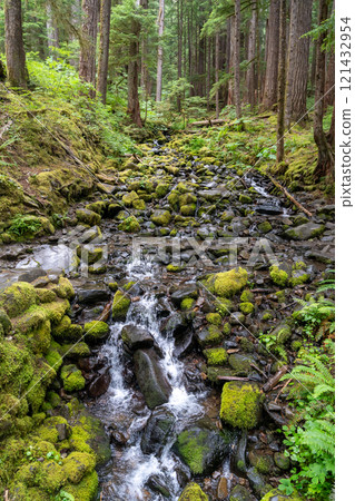 Stream Along Sol Duc Falls in Olympic National Park Surrounded by Lush Forest Stream Along Sol Duc Falls in Olympic National Park Surrounded by Lush Forest 121432954