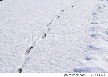 在新的雪的腳印 在新的雪的腳印 121433371