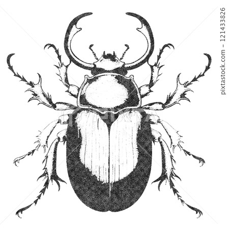 Scarab Beetle Insect Illustration on White Background in Old OverPrint Style Scarab Beetle Insect Illustration on White Background in Old OverPrint Style 121433826