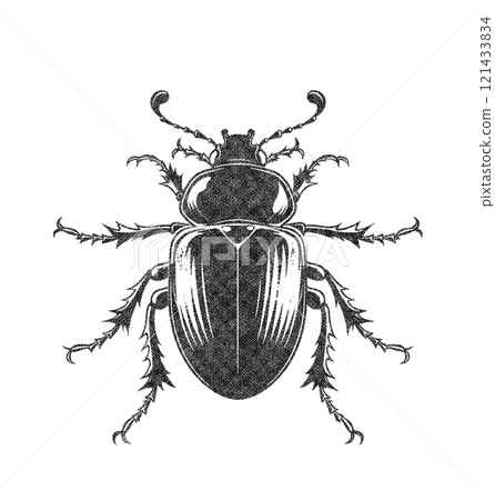 Stag Beetle Insect Illustration on White Background in Old OverPrint Style 121433834