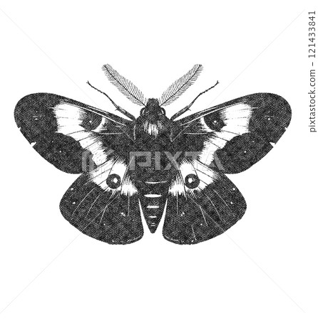 Moth in Old OverPrint Style 121433841