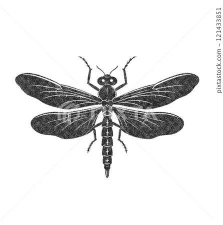 Dragonfly in Old OverPrint Style 121433851