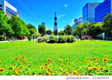 北海道札幌大通公園夏日風景 北海道札幌大通公園夏日風景 121434345