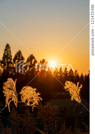 Dusk of autumn and Suzuki 121435486