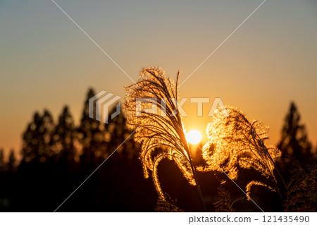 Dusk of autumn and Suzuki 121435490