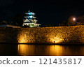 Imabari Castle lighted up 121435817