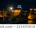 Imabari Castle lighted up 121435818