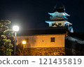 Imabari Castle lighted up 121435819