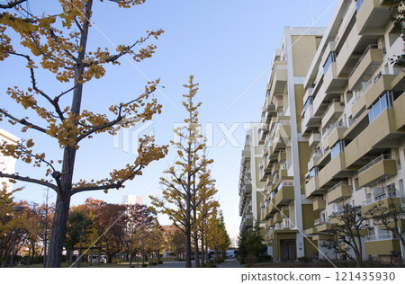 Housing complex 121435930