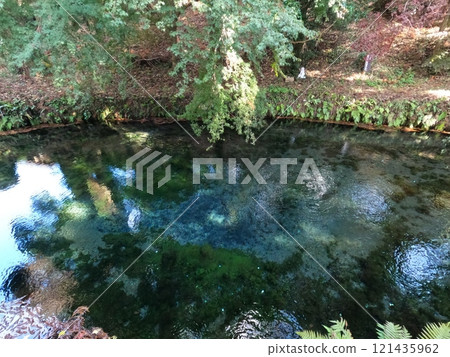 水和秋葉 水和秋葉 121435962